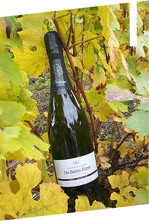 Cuvée Brut Grand Cru - Champagne De Babo-Fürst