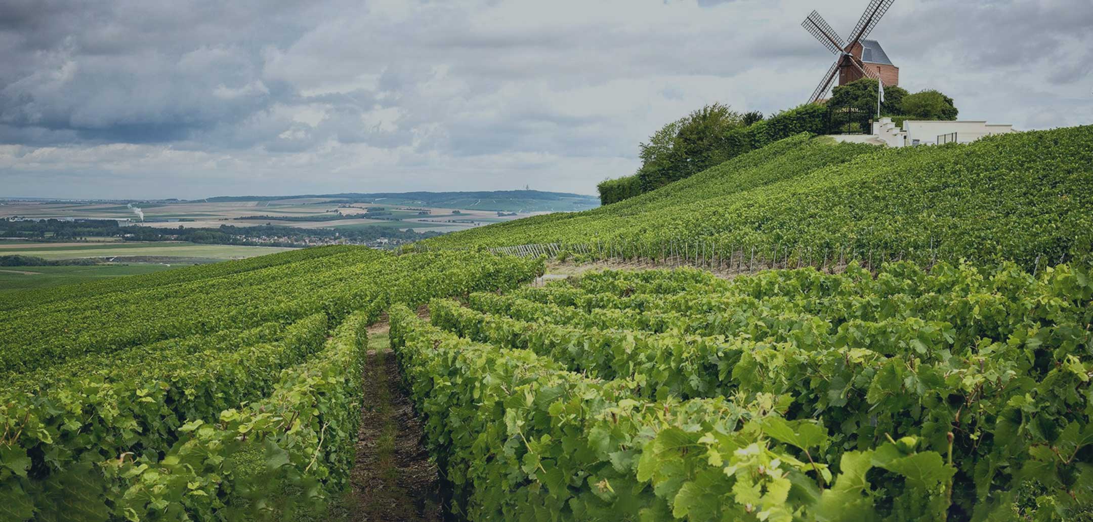 Champagne De Babo-Fürst